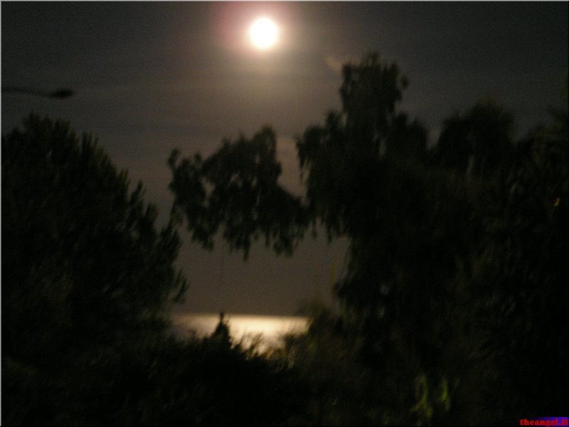 P1010002.JPG