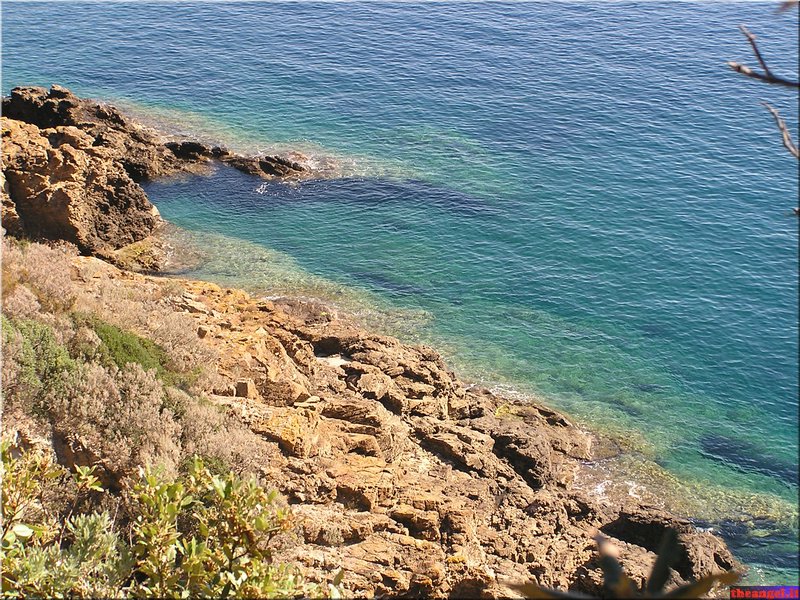 P1010023.JPG
