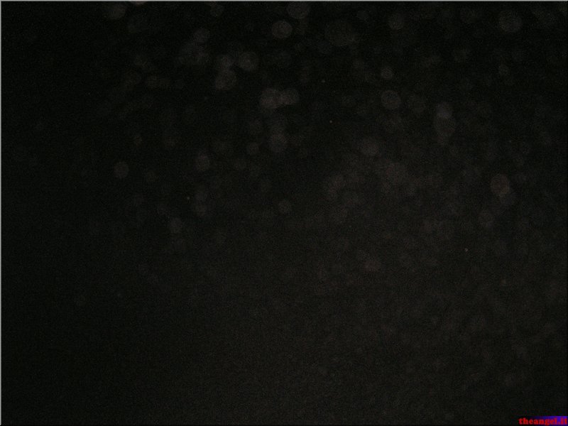 P1010110.JPG