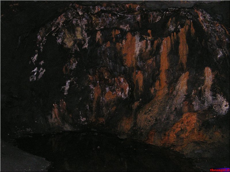 P1010113.JPG