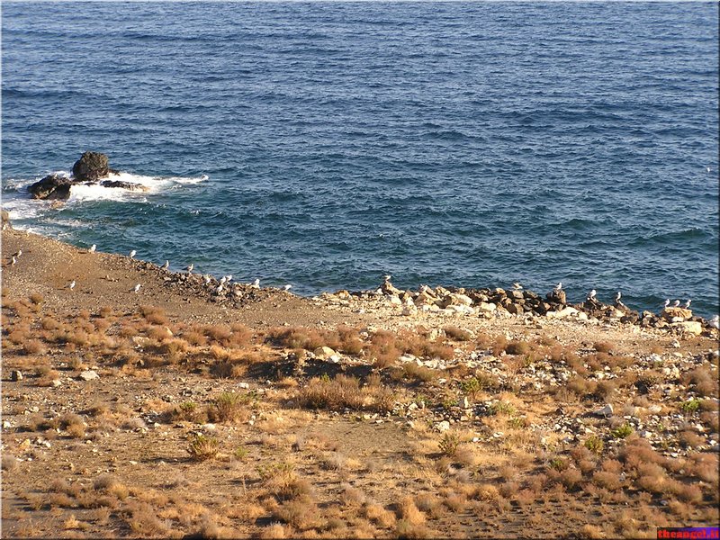 P1010134.JPG