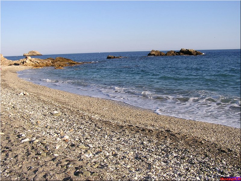 P1010145.JPG