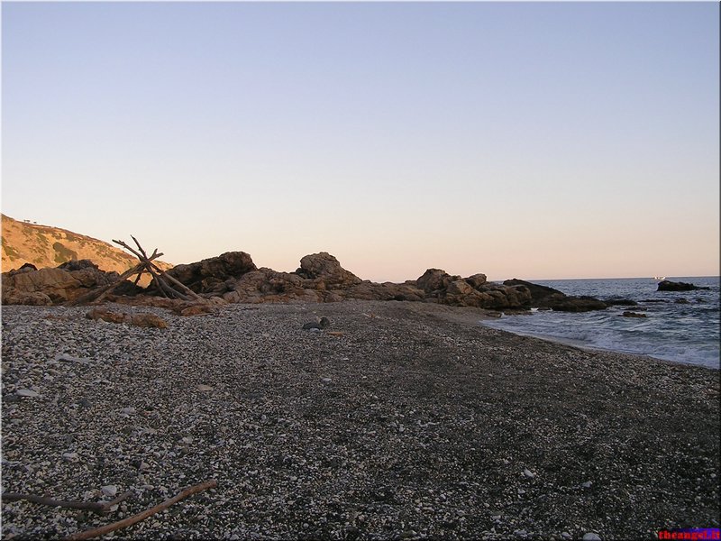 P1010154.JPG
