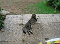 DSCN2298