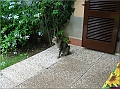 DSCN2299