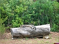 DSCN2306
