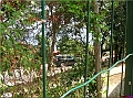 DSCN2324