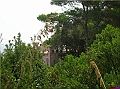 DSCN2325
