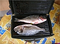 DSCN2335