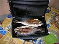 DSCN2341