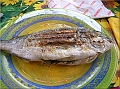 DSCN2342