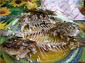 DSCN2344