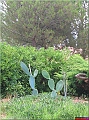 DSCN2353