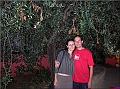 DSCN2429