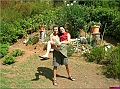 DSCN2479