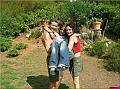 DSCN2484