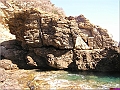 P1010024