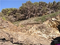 P1010028