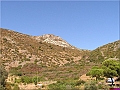 P1010037