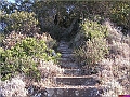 P1010058