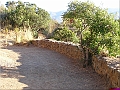 P1010066