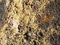 P1010067