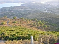 P1010076