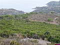 P1010085
