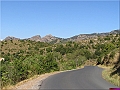 P1010087