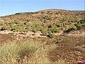 P1010095