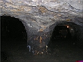P1010119