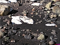 P1010127
