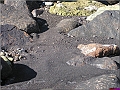 P1010131