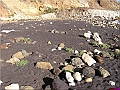 P1010132