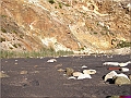 P1010133