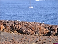 P1010135