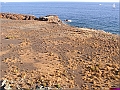 P1010136