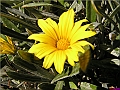 P1010165