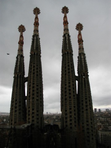 (20).JPG