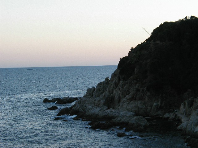 (73).JPG