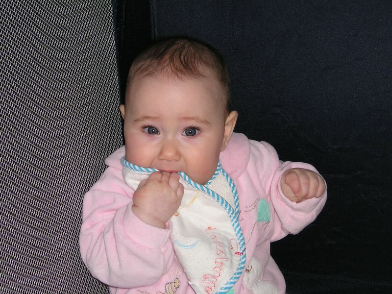 P1010031.JPG