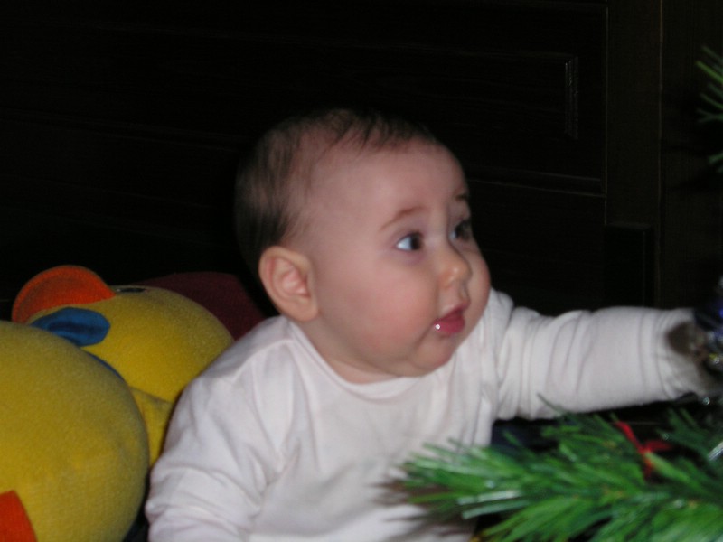 P1010047.JPG
