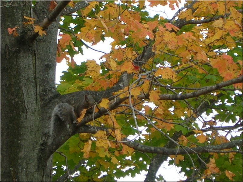 DSCN3737.JPG