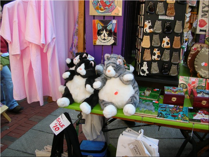 DSCN4143.JPG