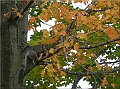DSCN3737