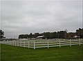 DSCN3779