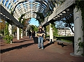 DSCN4145