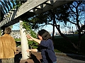 DSCN4146