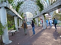 DSCN4149