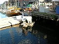 DSCN4150